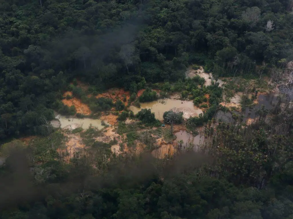 efeito do garimpo ilegal em terras indígenas Yanomami